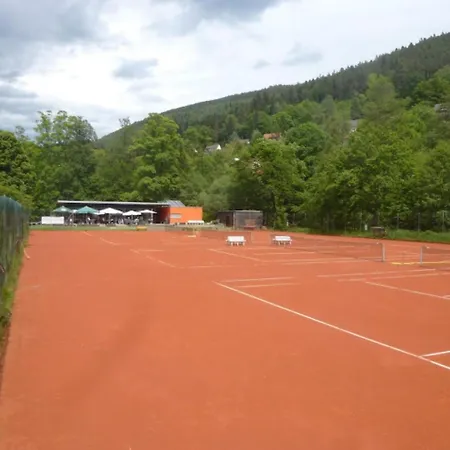 Kurpark Apartment, Schwimmbad, Sauna, Terrasse Lejlighed Bad Wildbad