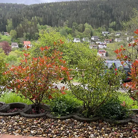 Kurpark Apartment, Schwimmbad, Sauna, Terrasse Apartment