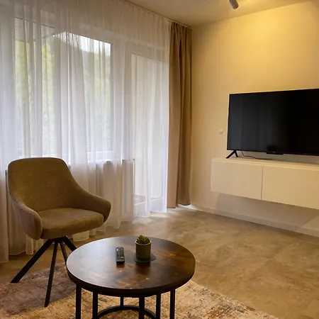 Kurpark Apartment, Schwimmbad, Sauna, Terrasse Apartment Bad Wildbad