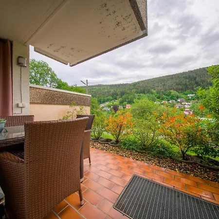 Kurpark Apartment, Schwimmbad, Sauna, Terrasse Lejlighed *