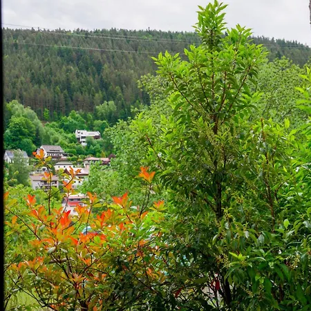 Kurpark Apartment, Schwimmbad, Sauna, Terrasse